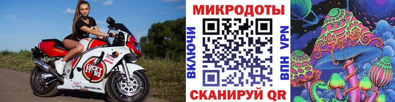 Галлюциногенные грибы Psilocybine cubensis Любань